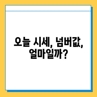 홍성군 금마면 개인택시 면허 매매 가격 & 자격조건 | 오늘 시세, 넘버값, 월수입, 양수교육