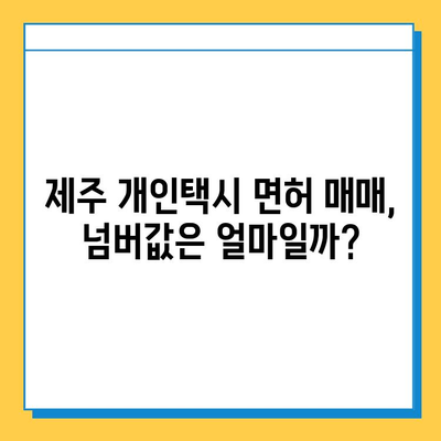 제주도 제주시 삼도2동 개인택시 면허 매매 시세| 오늘의 가격, 자격조건, 월수입, 양수교육 | 번호판, 넘버값 포함