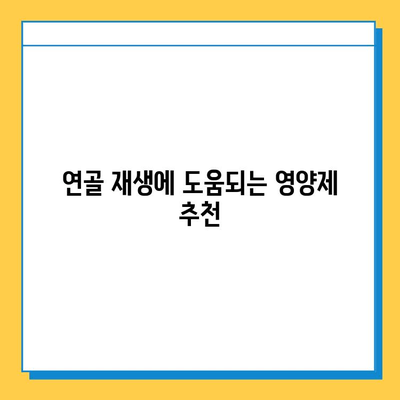 관절 통증 영양제| 무릎 연골 건강 지키는 필수 성분 & 추천 제품 | 관절 건강, 연골 재생, 영양제 추천, 무릎 통증 완화