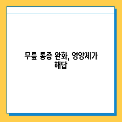 관절 통증 영양제| 무릎 연골 건강 지키는 필수 성분 & 추천 제품 | 관절 건강, 연골 재생, 영양제 추천, 무릎 통증 완화