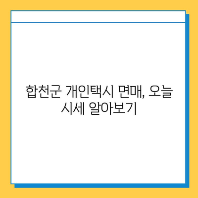 합천군 개인택시 면허 매매, 오늘 시세는? | 가격, 번호판, 자격조건, 월수입, 양수교육