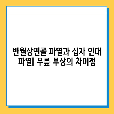 반월상연골 파열 vs 십자 인대 파열| 치료법 비교분석 | 무릎 부상, 재활, 운동, 수술