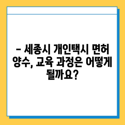 세종시 종촌동 개인택시 면허 매매 가격| 오늘 시세, 넘버값, 자격조건, 월수입, 양수교육 | 세종특별자치시, 택시 면허, 택시 매매