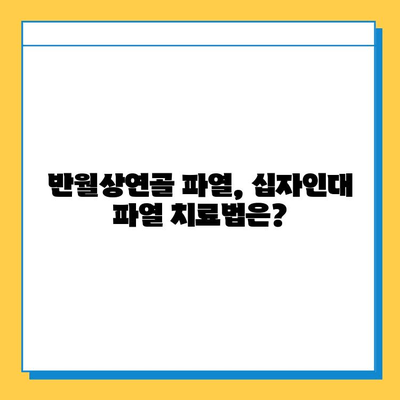 반월상연골 파열 vs. 십자인대 파열| 어떤 치료가 필요할까요? | 무릎 부상, 치료법, 재활