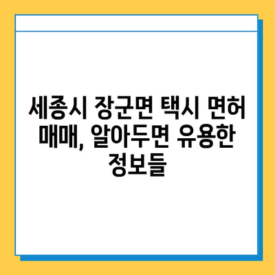 세종시 장군면 개인택시 면허 매매| 오늘 시세, 넘버값, 자격조건, 월수입, 양수교육 | 세종특별자치시, 택시면허, 매매가격, 정보