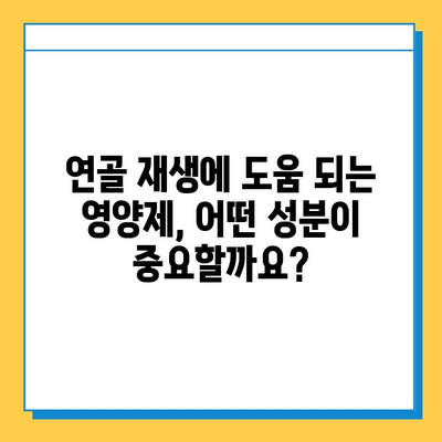 관절 연골, 제대로 챙기려면? 현명한 영양제 선택 가이드 | 관절 건강, 연골 재생, 영양제 추천