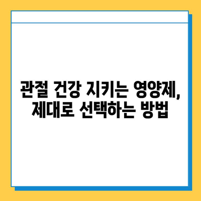 관절 연골, 제대로 챙기려면? 현명한 영양제 선택 가이드 | 관절 건강, 연골 재생, 영양제 추천