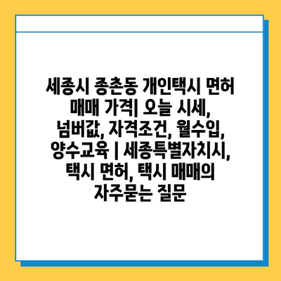 세종시 종촌동 개인택시 면허 매매 가격| 오늘 시세, 넘버값, 자격조건, 월수입, 양수교육 | 세종특별자치시, 택시 면허, 택시 매매