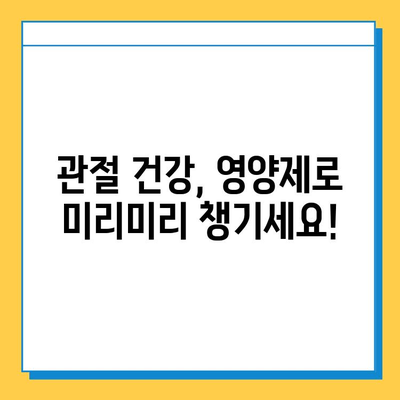 관절 연골, 제대로 챙기려면? 현명한 영양제 선택 가이드 | 관절 건강, 연골 재생, 영양제 추천