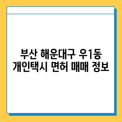 부산 해운대구 우1동 개인택시 면허 매매 가격| 오늘 시세, 넘버값, 자격조건, 월수입, 양수교육 | 상세 정보