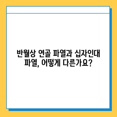 반월상 연골 파열과 십자인대 파열| 상반된 치료 원칙과 효과적인 관리법 | 무릎 부상, 재활, 운동, 전문의