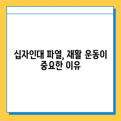 반월상 연골 파열과 십자인대 파열| 상반된 치료 원칙과 효과적인 관리법 | 무릎 부상, 재활, 운동, 전문의