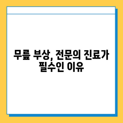 반월상 연골 파열과 십자인대 파열| 상반된 치료 원칙과 효과적인 관리법 | 무릎 부상, 재활, 운동, 전문의