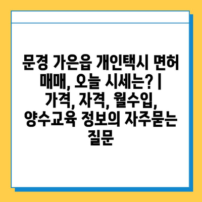 문경 가은읍 개인택시 면허 매매, 오늘 시세는? | 가격, 자격, 월수입, 양수교육 정보