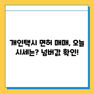 대전 서구 만년동 개인택시 면허 매매 가격| 오늘 시세, 넘버값, 자격조건, 월수입, 양수교육 | 상세 정보