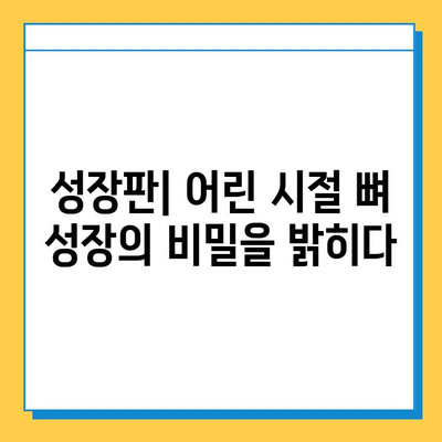 연골 성장 판 연구의 최신 동향| 미래를 향한 도약 | 성장판, 연구, 의학, 발달, 혁신