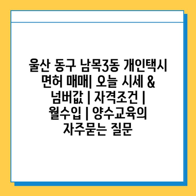 울산 동구 남목3동 개인택시 면허 매매| 오늘 시세 & 넘버값 | 자격조건 | 월수입 | 양수교육