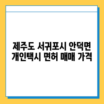 제주도 서귀포시 안덕면 개인택시 면허 매매 가격| 오늘 시세 확인 & 자격조건 | 넘버값, 월수입, 양수교육