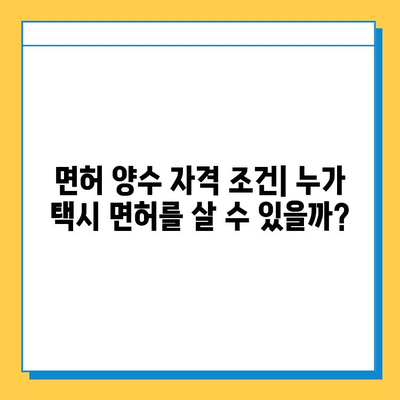 제주도 서귀포시 안덕면 개인택시 면허 매매 가격| 오늘 시세 확인 & 자격조건 | 넘버값, 월수입, 양수교육