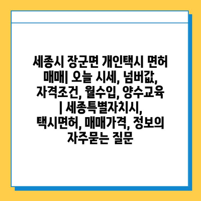 세종시 장군면 개인택시 면허 매매| 오늘 시세, 넘버값, 자격조건, 월수입, 양수교육 | 세종특별자치시, 택시면허, 매매가격, 정보