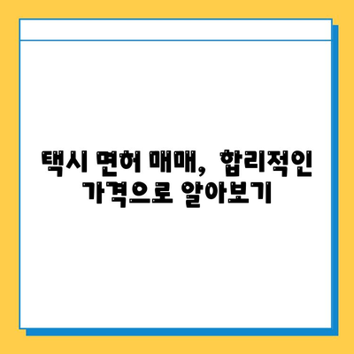 제주도 서귀포시 안덕면 개인택시 면허 매매 가격| 오늘 시세 확인 & 자격조건 | 넘버값, 월수입, 양수교육