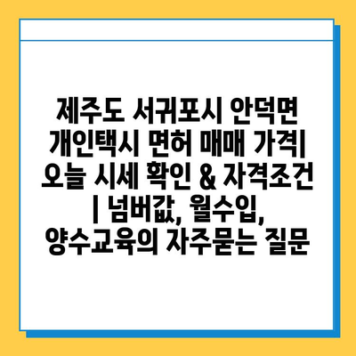 제주도 서귀포시 안덕면 개인택시 면허 매매 가격| 오늘 시세 확인 & 자격조건 | 넘버값, 월수입, 양수교육