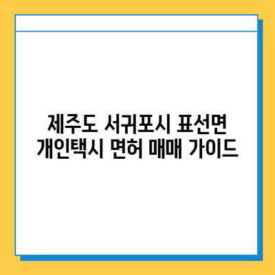 제주도 서귀포시 표선면 개인택시 면허 매매| 오늘 시세, 넘버값, 자격, 월수입, 양수교육 | 상세 가이드