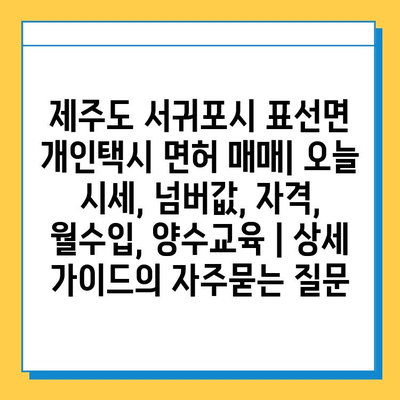 제주도 서귀포시 표선면 개인택시 면허 매매| 오늘 시세, 넘버값, 자격, 월수입, 양수교육 | 상세 가이드