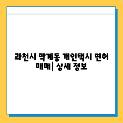 과천시 막계동 개인택시 면허 매매 가격| 오늘 시세, 넘버값, 자격조건, 월수입, 양수교육 | 상세 정보