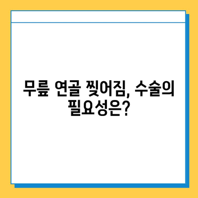 무릎 연골 찢어짐, 나의 회복 여정| 수술부터 재활까지 | 연골 손상, 무릎 통증, 재활 운동, 일상 복귀