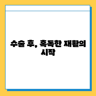 무릎 연골 찢어짐, 나의 회복 여정| 수술부터 재활까지 | 연골 손상, 무릎 통증, 재활 운동, 일상 복귀