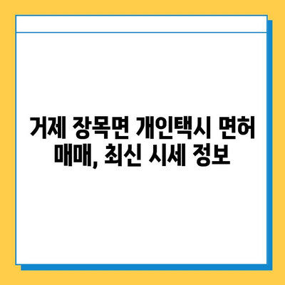 거제시 장목면 개인택시 면허 매매 가격 & 시세 (오늘 기준) | 자격조건, 월수입, 양수교육 정보