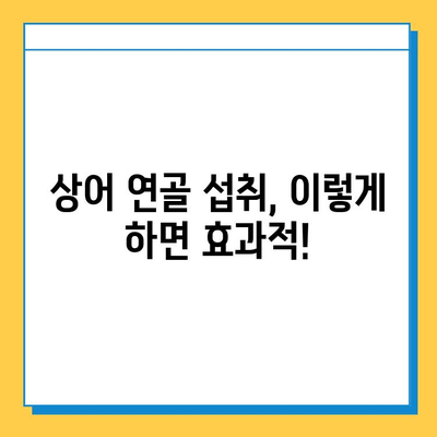 관절염 치료에 효과적인 상어 연골| 섭취 방법 및 주의사항 | 관절염, 연골 재생, 건강 정보