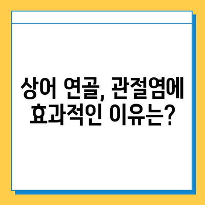 관절염 치료에 효과적인 상어 연골| 섭취 방법 및 주의사항 | 관절염, 연골 재생, 건강 정보