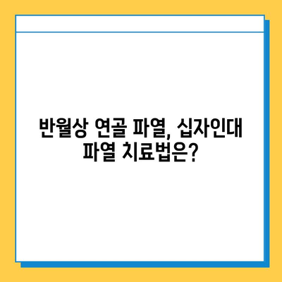 반월상 연골 파열 vs 십자인대 파열| 어떤 치료가 필요할까요? | 무릎 부상, 치료법, 재활