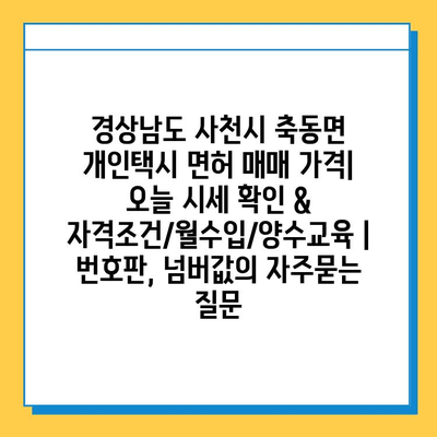 경상남도 사천시 축동면 개인택시 면허 매매 가격| 오늘 시세 확인 & 자격조건/월수입/양수교육 | 번호판, 넘버값