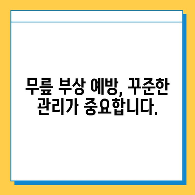 반월상 연골 파열 vs 십자인대 파열| 어떤 치료가 필요할까요? | 무릎 부상, 치료법, 재활