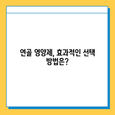 관절 건강 지키는 현명한 선택! 연골 영양제 고르는 핵심 가이드 | 관절 건강, 연골 영양제, 선택 가이드, 건강 정보