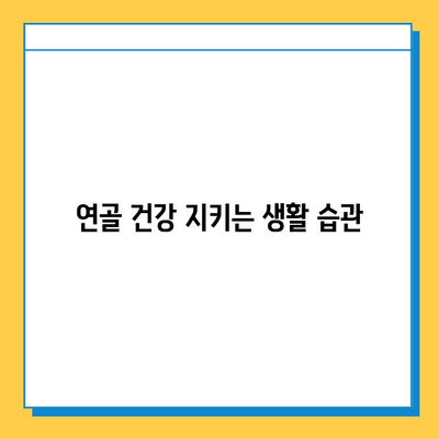 관절 건강 지키는 현명한 선택! 연골 영양제 고르는 핵심 가이드 | 관절 건강, 연골 영양제, 선택 가이드, 건강 정보