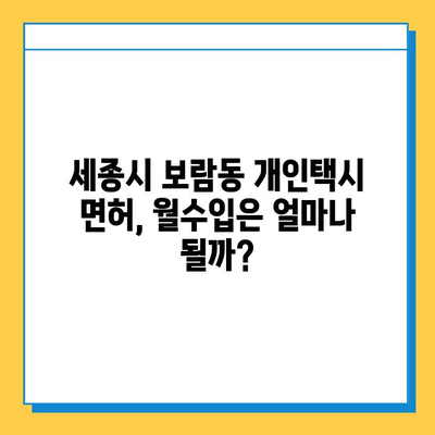 세종시 보람동 개인택시 면허 매매 가격| 오늘 시세 확인 & 자격조건 | 월수입 | 양수교육