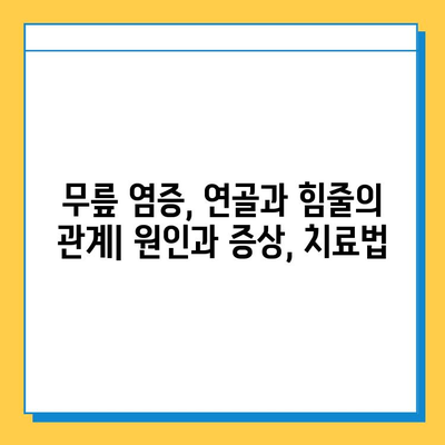 무릎 염증, 연골과 힘줄의 관계| 원인과 증상, 치료법 | 무릎 통증, 연골 손상, 힘줄염, 관절염