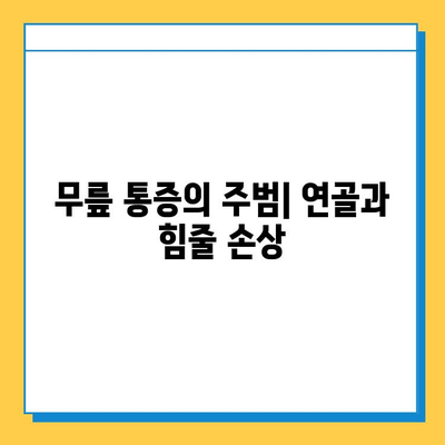 무릎 염증, 연골과 힘줄의 관계| 원인과 증상, 치료법 | 무릎 통증, 연골 손상, 힘줄염, 관절염