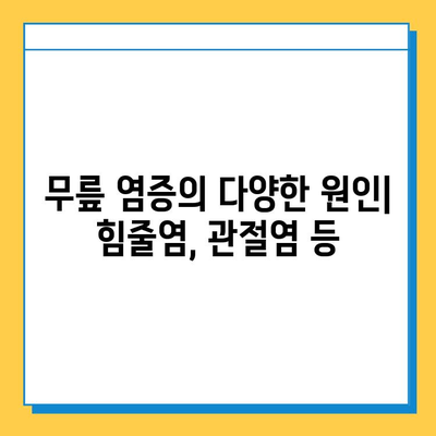 무릎 염증, 연골과 힘줄의 관계| 원인과 증상, 치료법 | 무릎 통증, 연골 손상, 힘줄염, 관절염