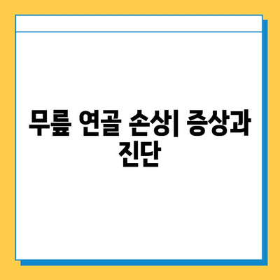 무릎 염증, 연골과 힘줄의 관계| 원인과 증상, 치료법 | 무릎 통증, 연골 손상, 힘줄염, 관절염