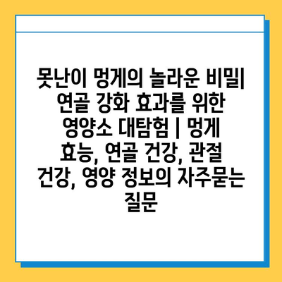 못난이 멍게의 놀라운 비밀| 연골 강화 효과를 위한 영양소 대탐험 | 멍게 효능, 연골 건강, 관절 건강, 영양 정보