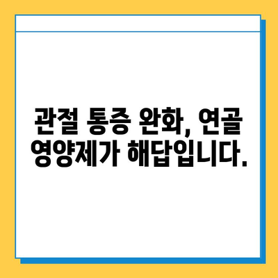 연골 건강 지키는 효과적인 연골영양제 추천 | 관절 건강, 연골 재생, 통증 완화