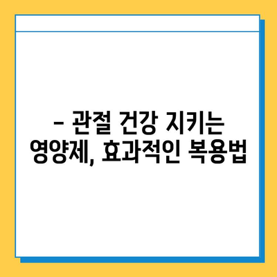 관절 연골 건강, 제대로 지키는 영양제 선택 가이드| 효과 비교 & 추천 | 관절 통증, 연골 재생, 영양제 비교, 건강 관리, 추천