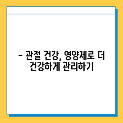 관절 연골 건강, 제대로 지키는 영양제 선택 가이드| 효과 비교 & 추천 | 관절 통증, 연골 재생, 영양제 비교, 건강 관리, 추천