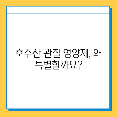 호주산 관절 영양제의 비밀| 콘드로이친 추천 이유 | 관절 건강, 연골 재생, 효능 비교, 호주 직구