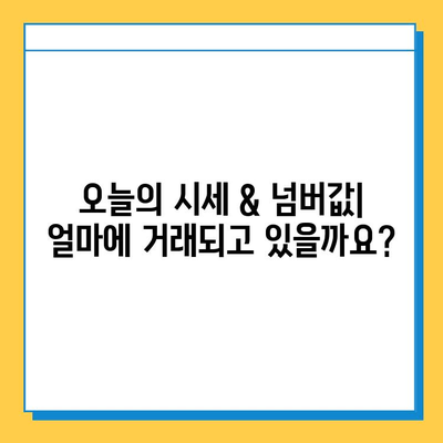 부여군 충화면 개인택시 면허 매매 가격 & 자격조건 완벽 가이드 | 오늘 시세, 넘버값, 월수입, 양수교육